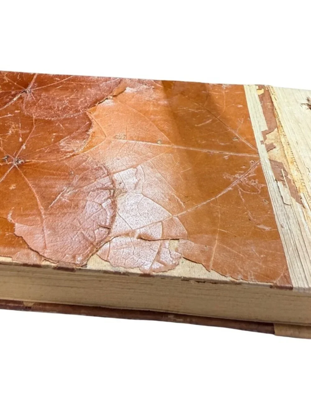 Handmade Natural Leaf Journal, Vintage Eco-Friendly Leather Look Scrapbook, Real